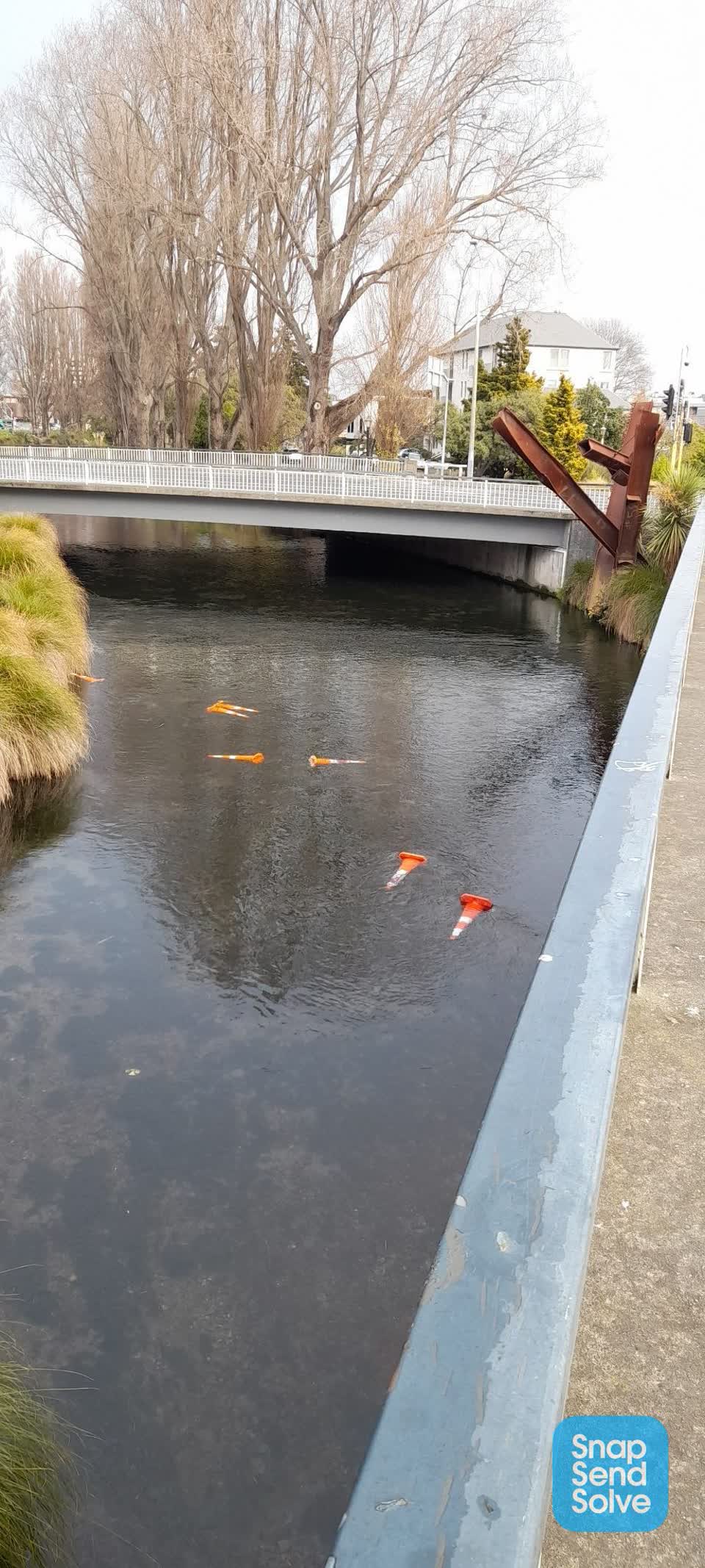 The photograph attached to this parks report