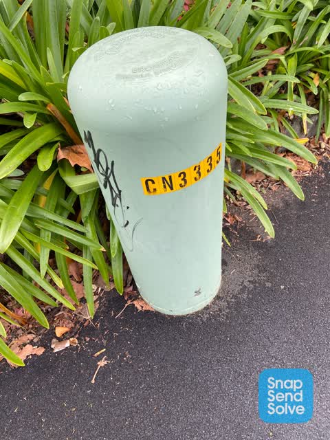 Graffiti, a report photo