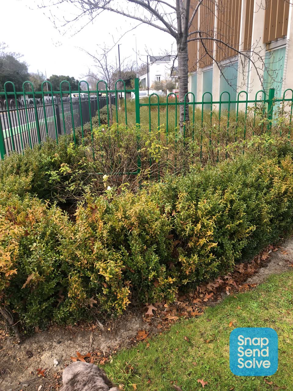 The photograph attached to this parks report