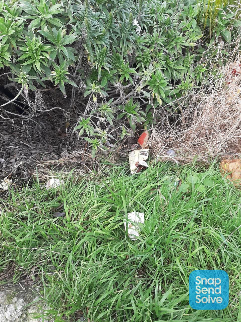 The photograph attached to this rubbish/recycling report