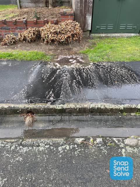 Sewer - Leak / Blockage, a report photo