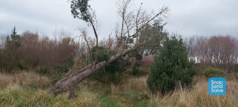 Parks, a report photo