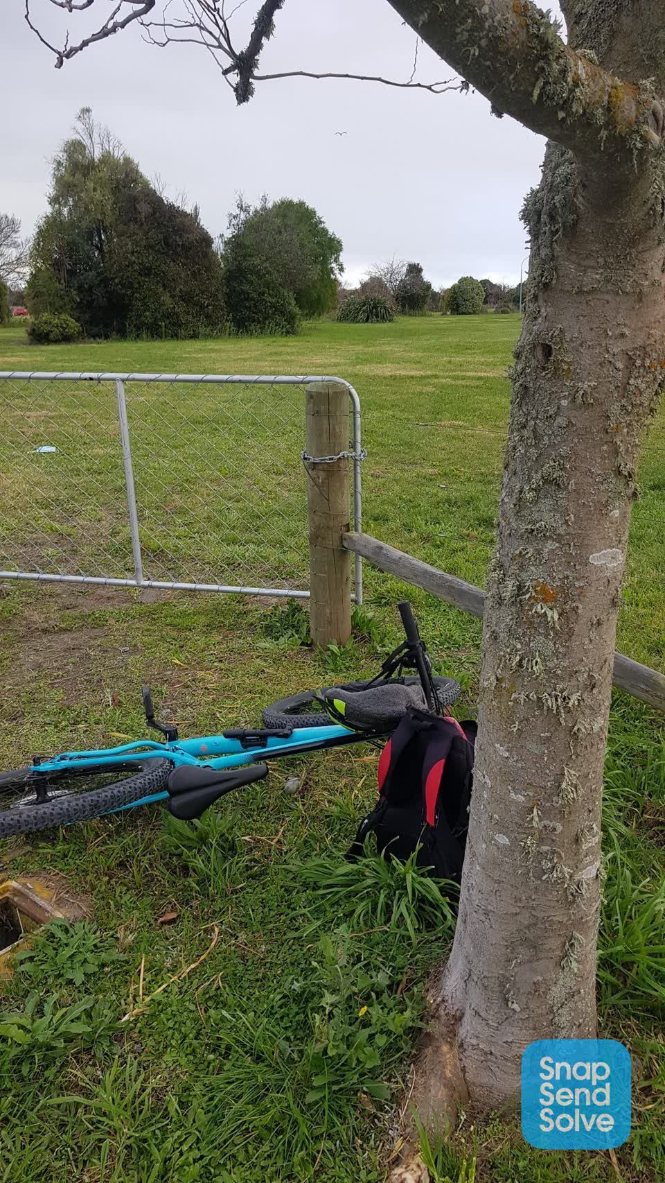 The photograph attached to this parks report