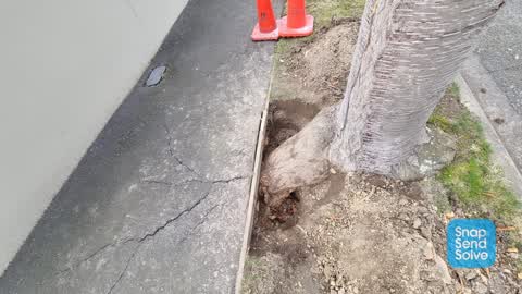 Roading/Streets, a report photo