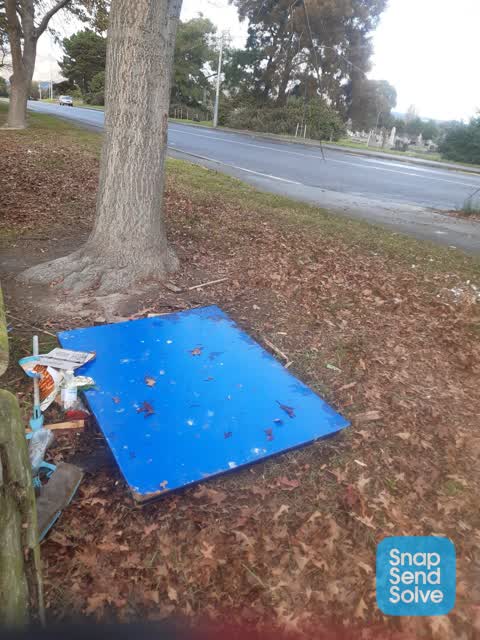 Parks — a report photo