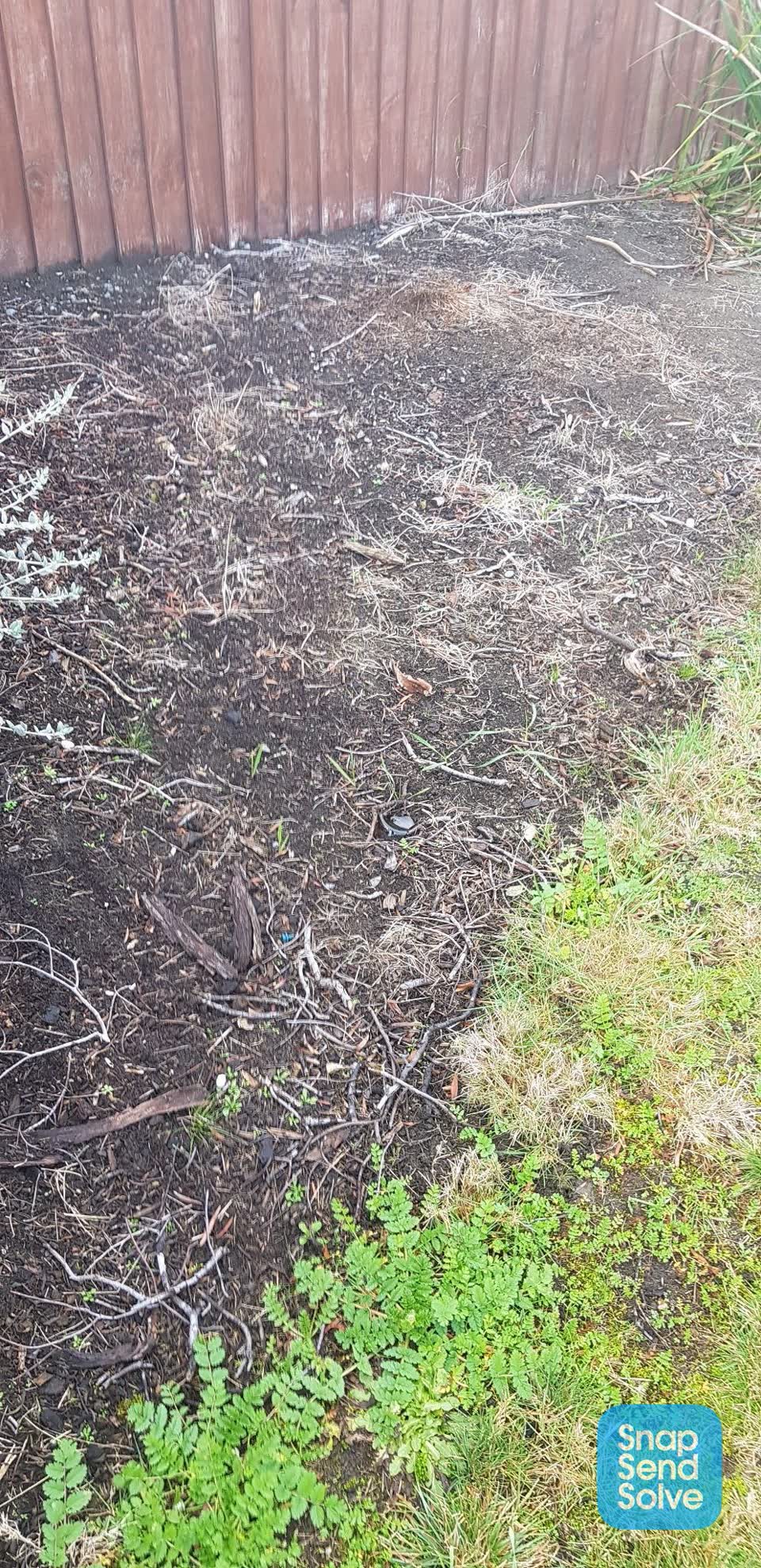 The photograph attached to this parks report