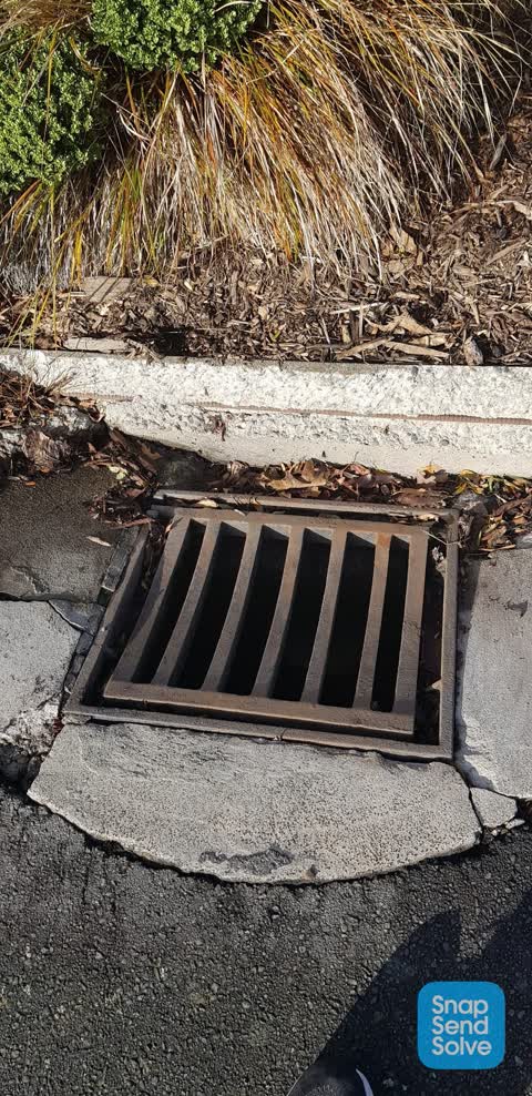 Roading/Streets, a report photo