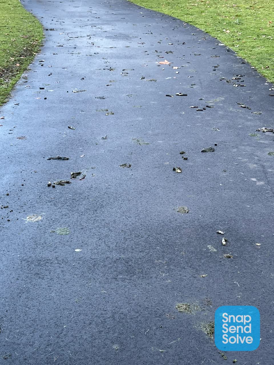 The photograph attached to this parks report
