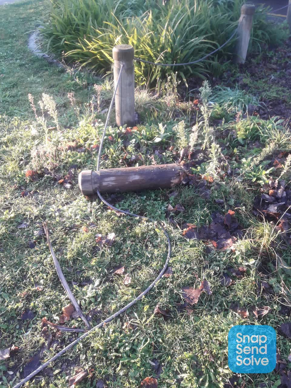 The photograph attached to this parks report