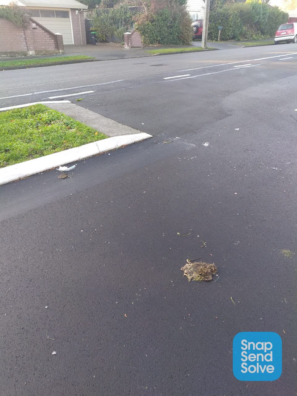 The photograph attached to this roading/streets report