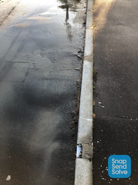 Water Leak, a report photo