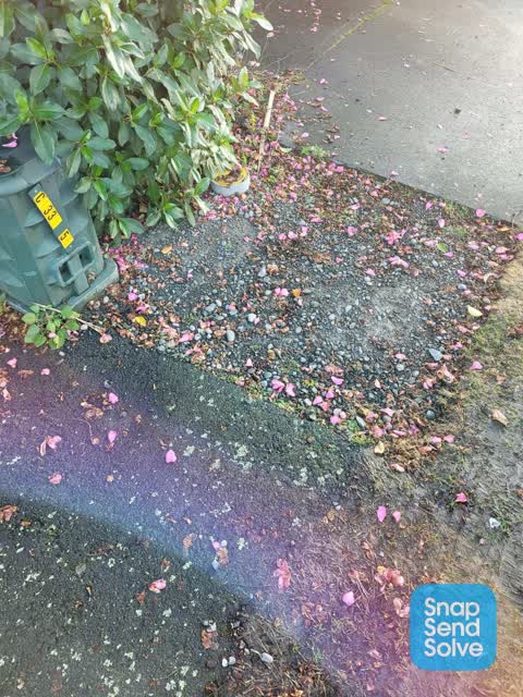 Roading/Streets, a report photo