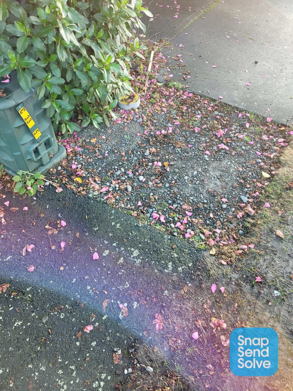 The photograph attached to this roading/streets report