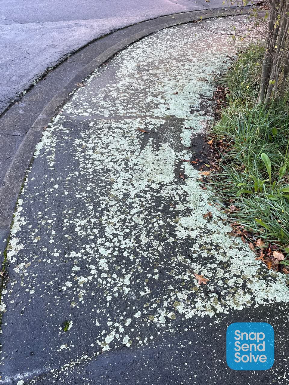 The photograph attached to this roading/streets report