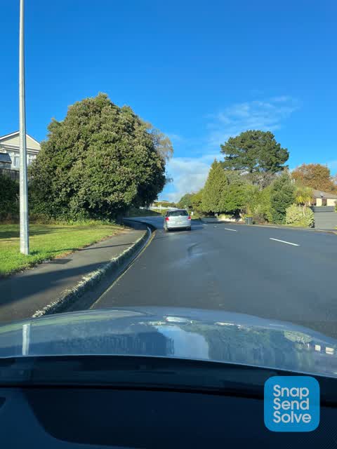 Roading/Streets, a report photo