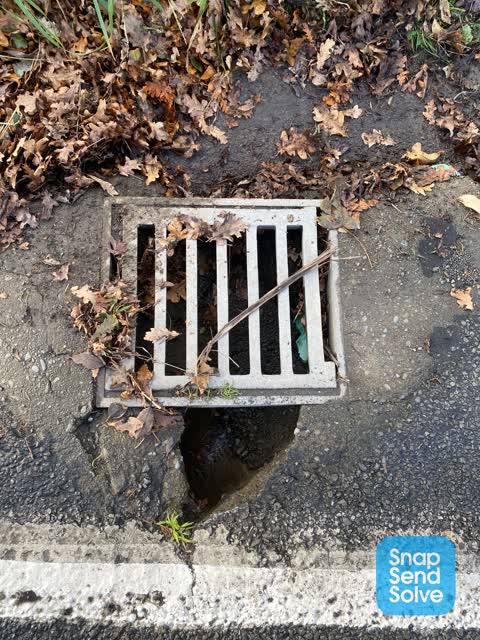 Roading/Streets, a report photo