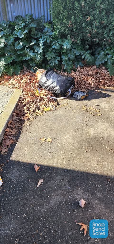 Parks, a report photo