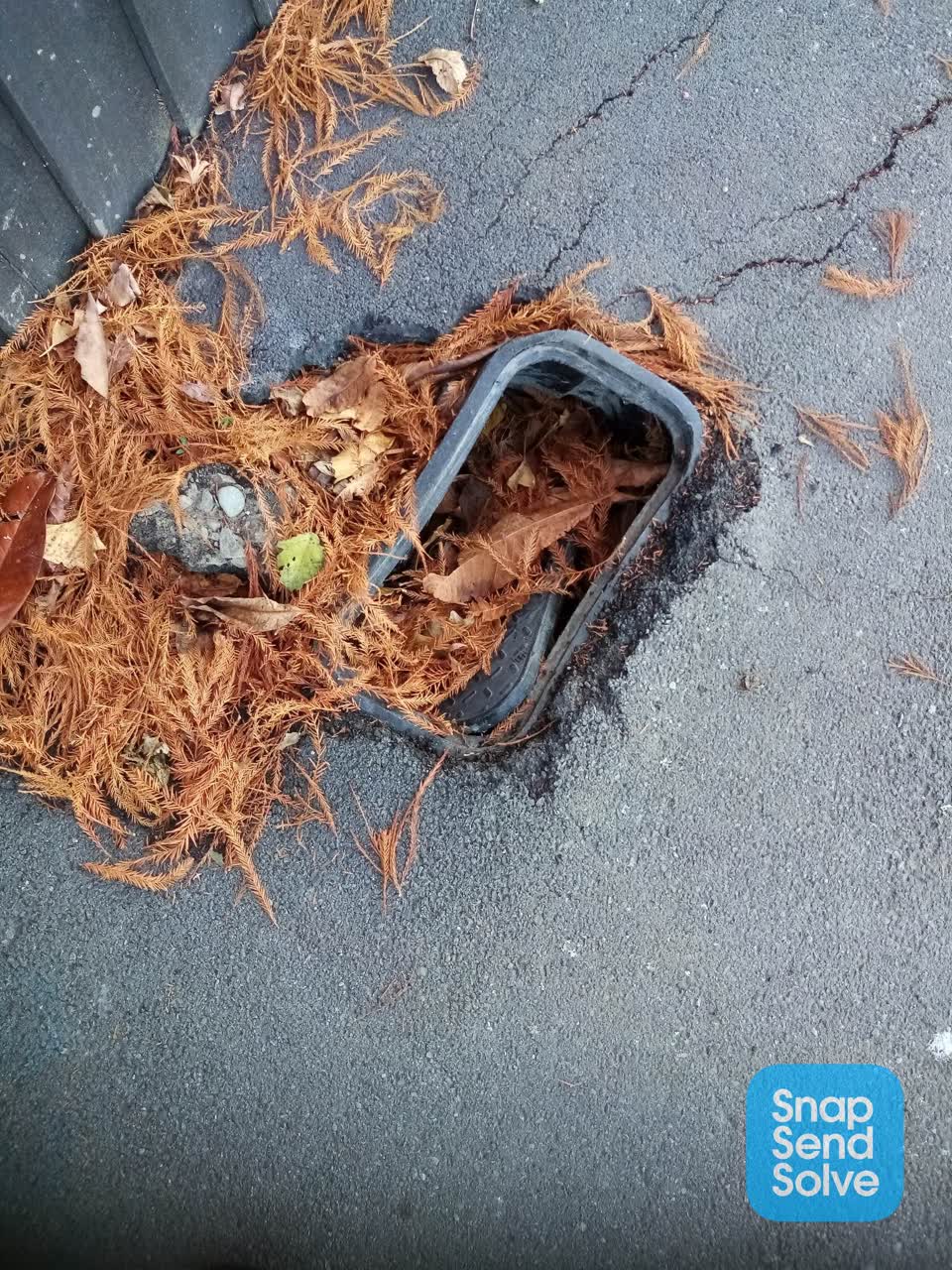 The photograph attached to this roading/streets report
