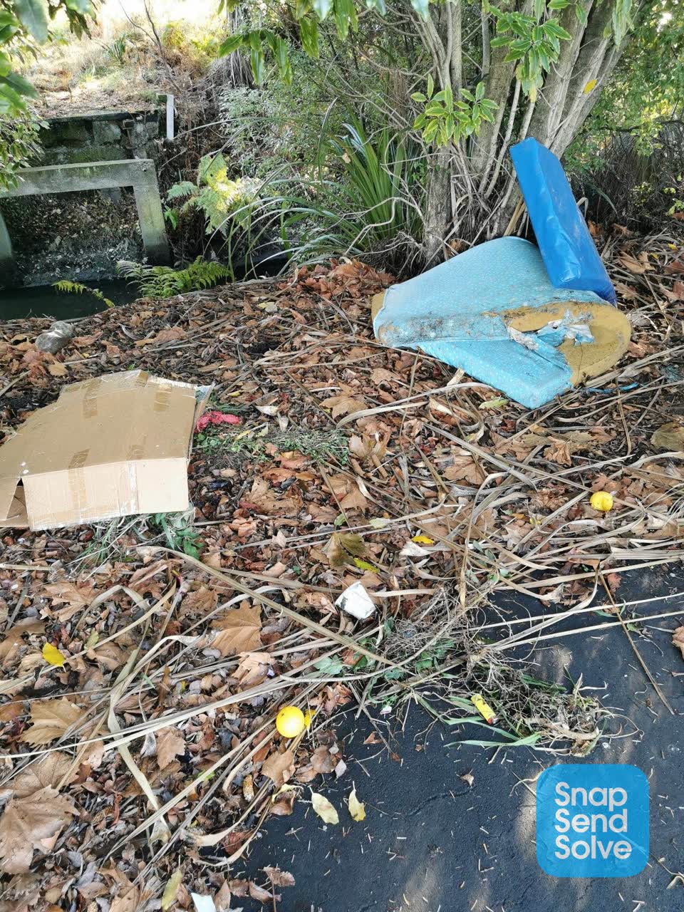 The photograph attached to this rubbish/recycling report