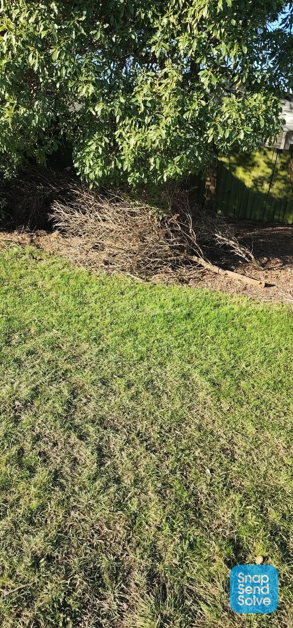 The photograph attached to this parks report