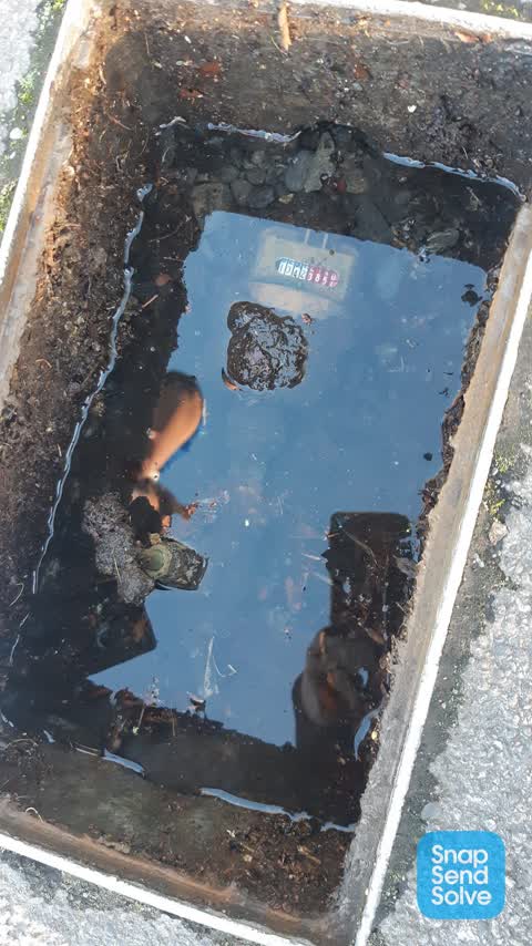 Water Leak, a report photo