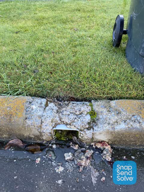 Roading/Streets, a report photo