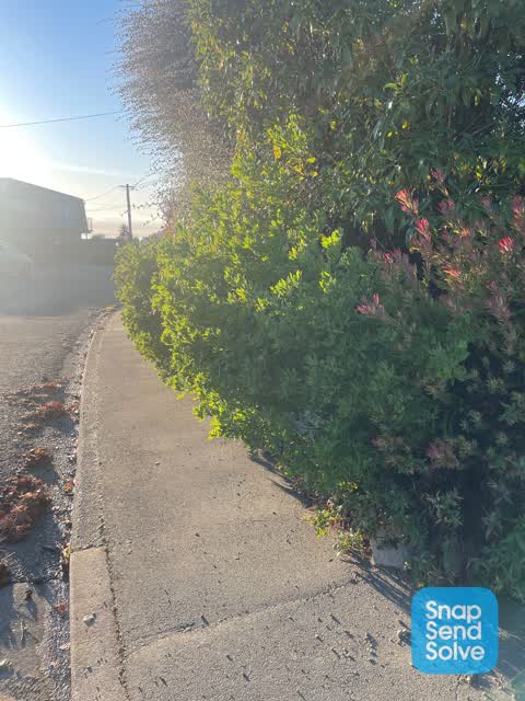 Roading/Streets, a report photo