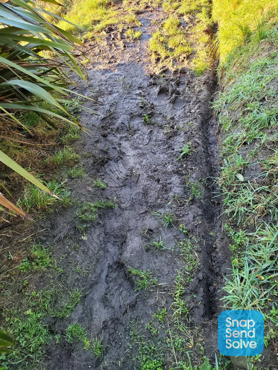 The photograph attached to this parks report