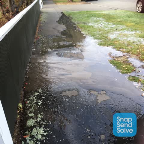 Water Leak, a report photo