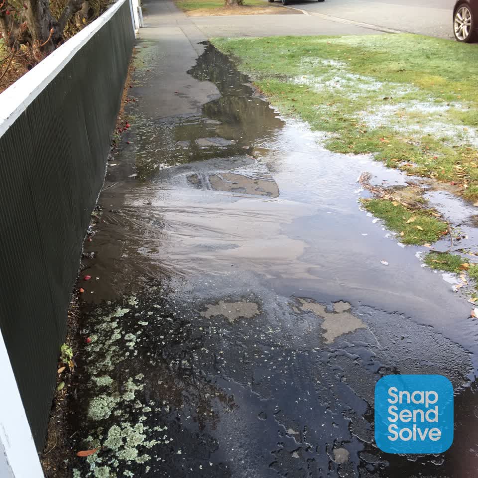 The photograph attached to this water leak report