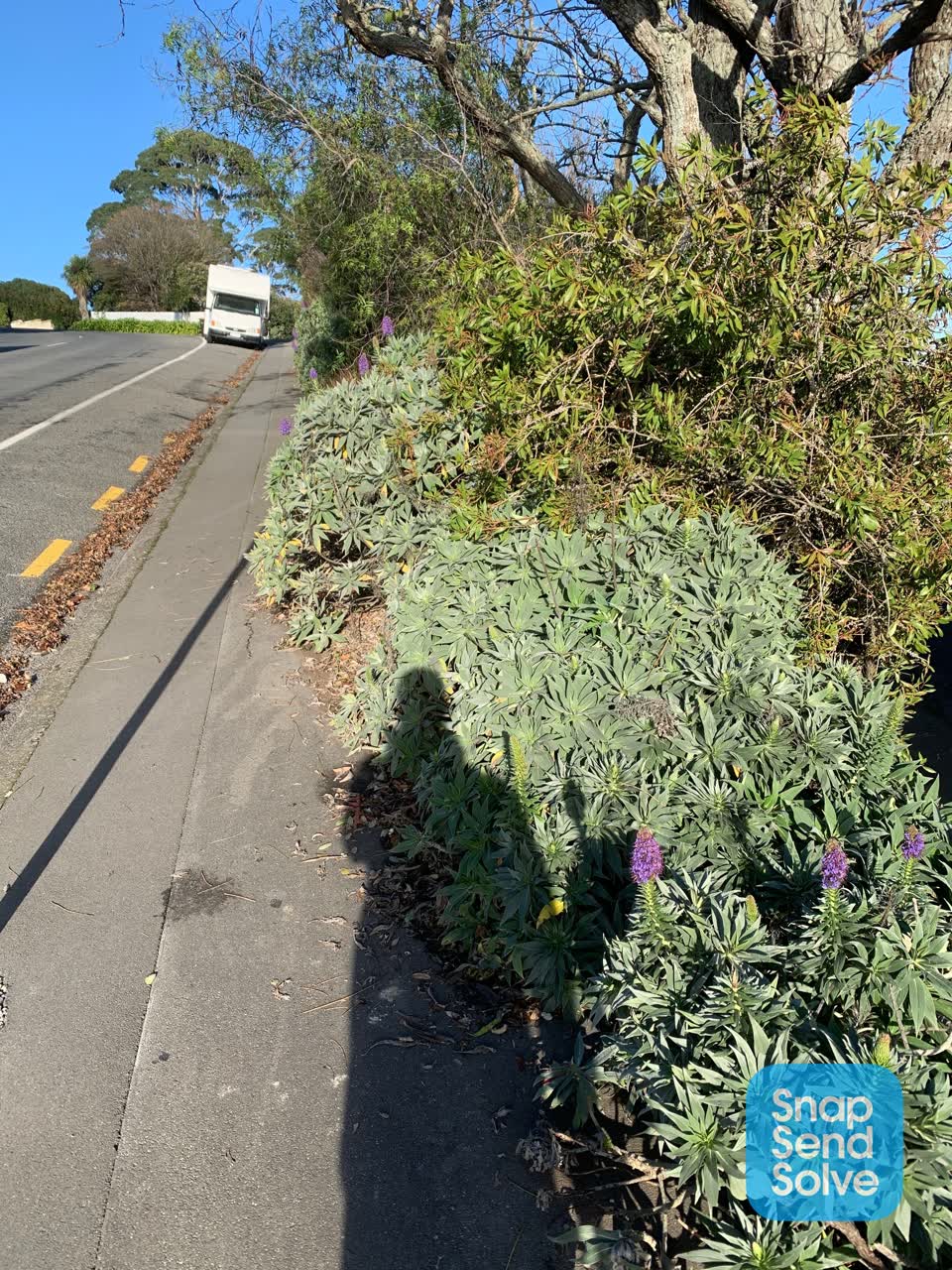 The photograph attached to this roading/streets report