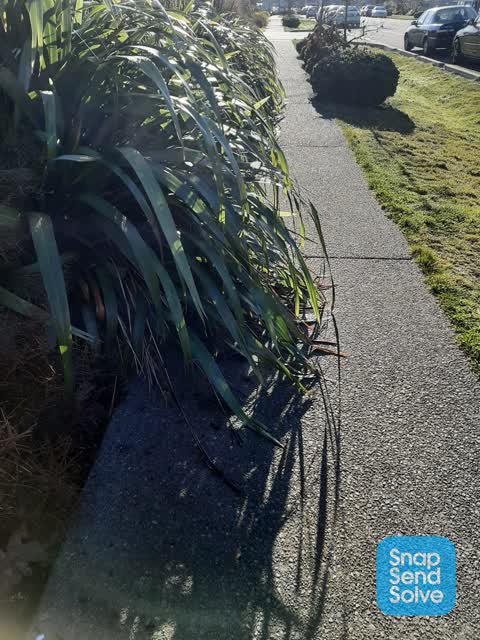 Roading/Streets, a report photo