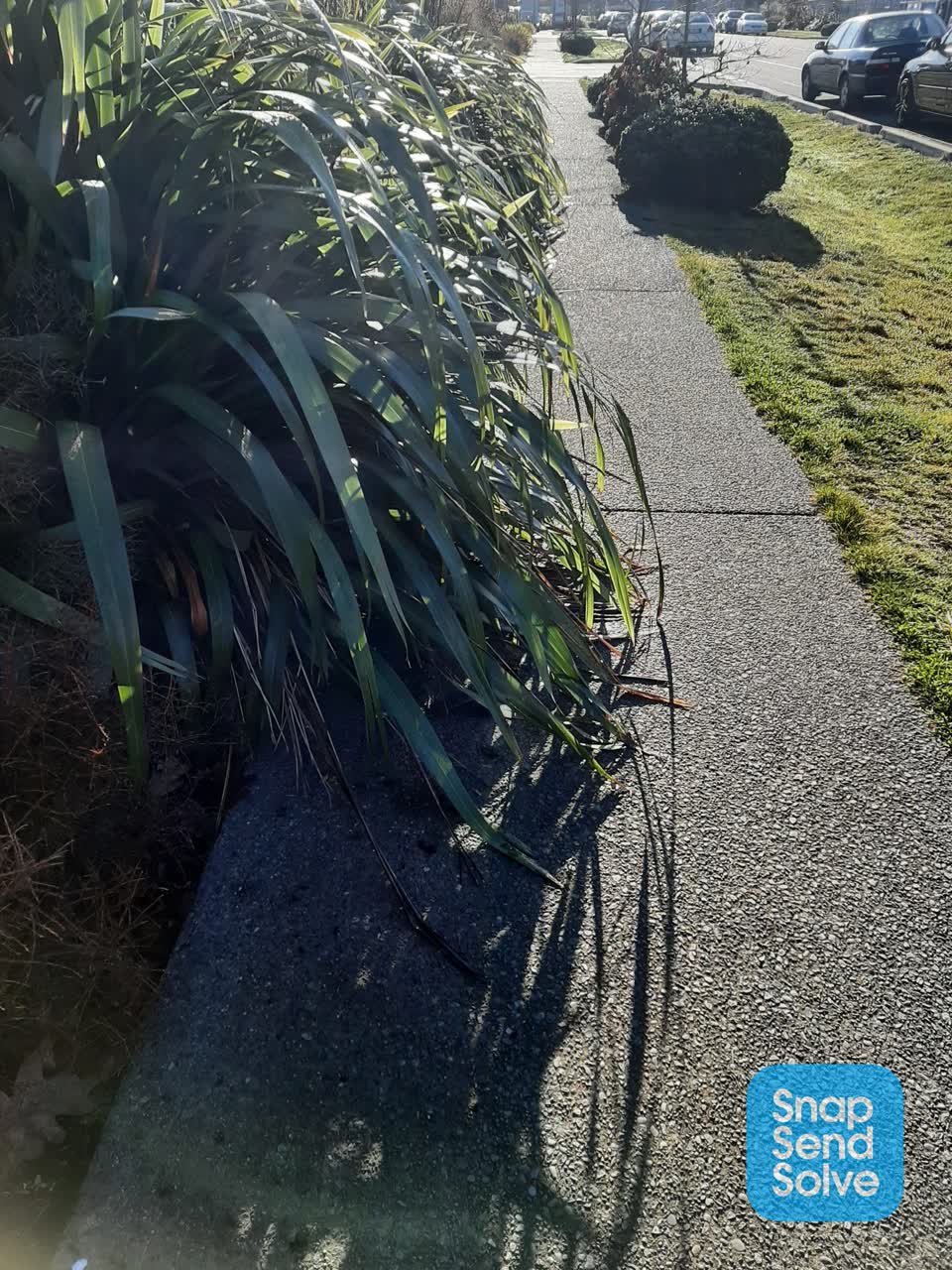 The photograph attached to this roading/streets report