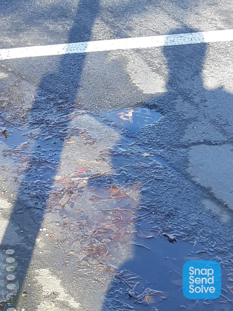 The photograph attached to this water leak report