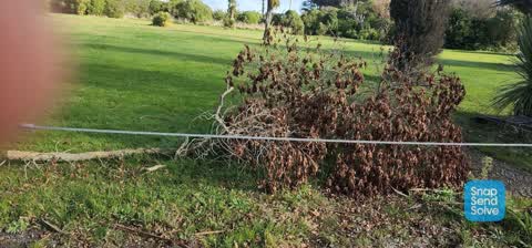 Parks, a report photo