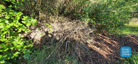Parks, a report photo
