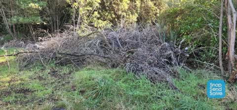 Parks, a report photo