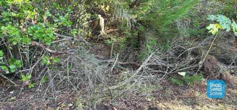 Parks, a report photo