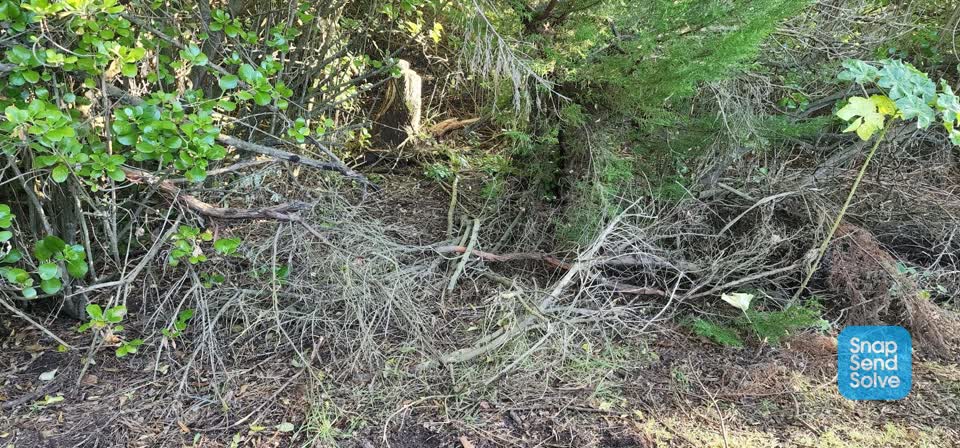 The photograph attached to this parks report