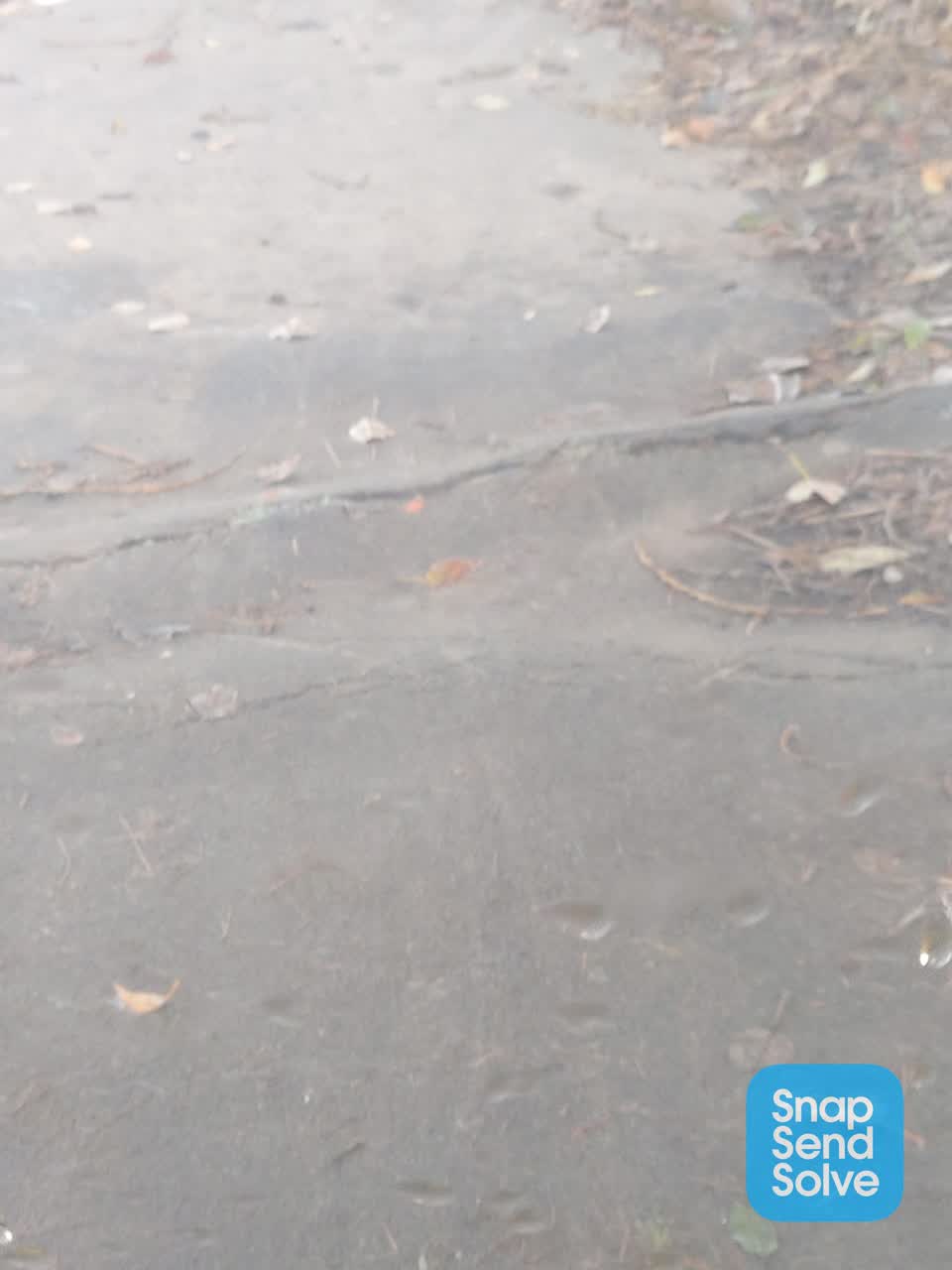 The photograph attached to this roading/streets report