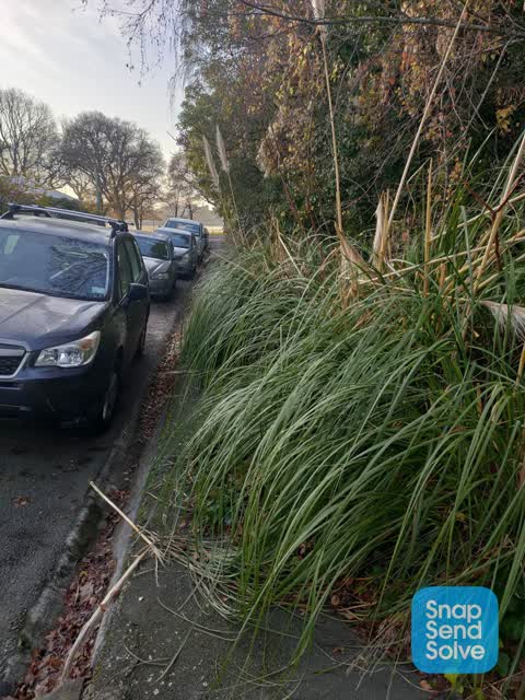 Roading/Streets, a report photo