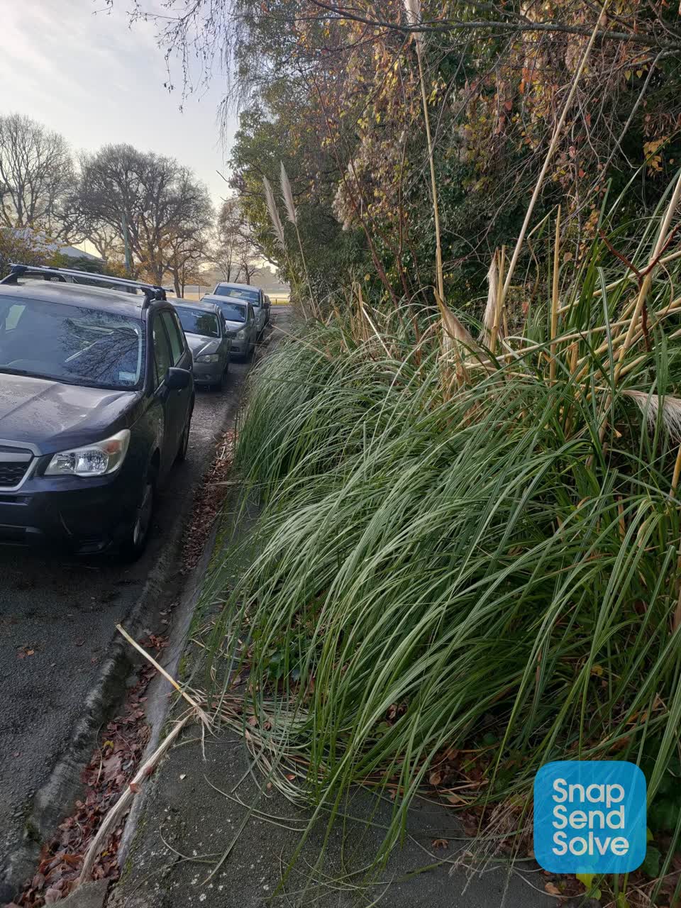 The photograph attached to this roading/streets report
