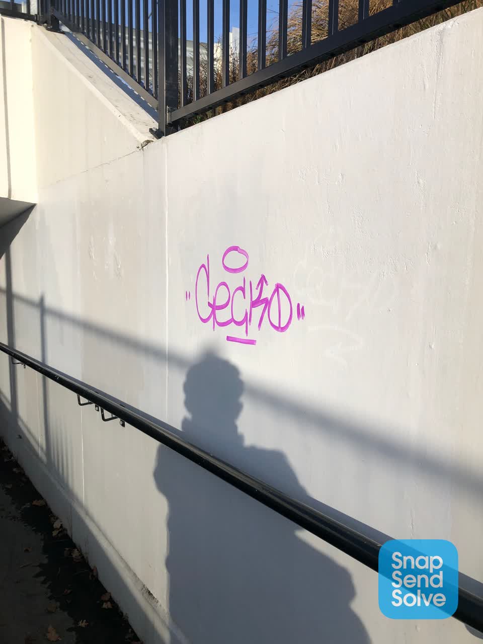 The photograph attached to this graffiti report