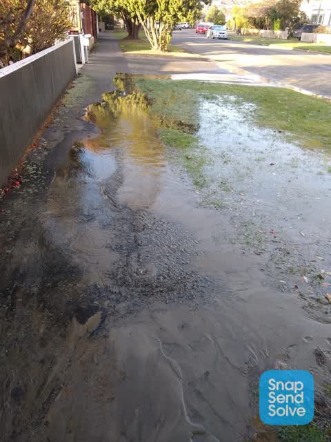 Water Leak, a report photo