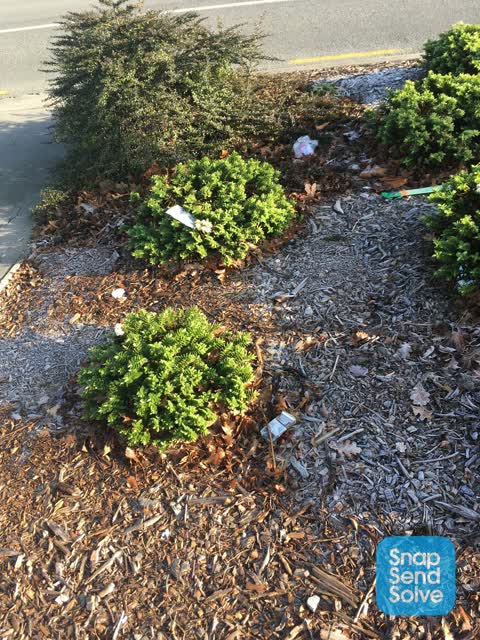 Rubbish/Recycling, a report photo