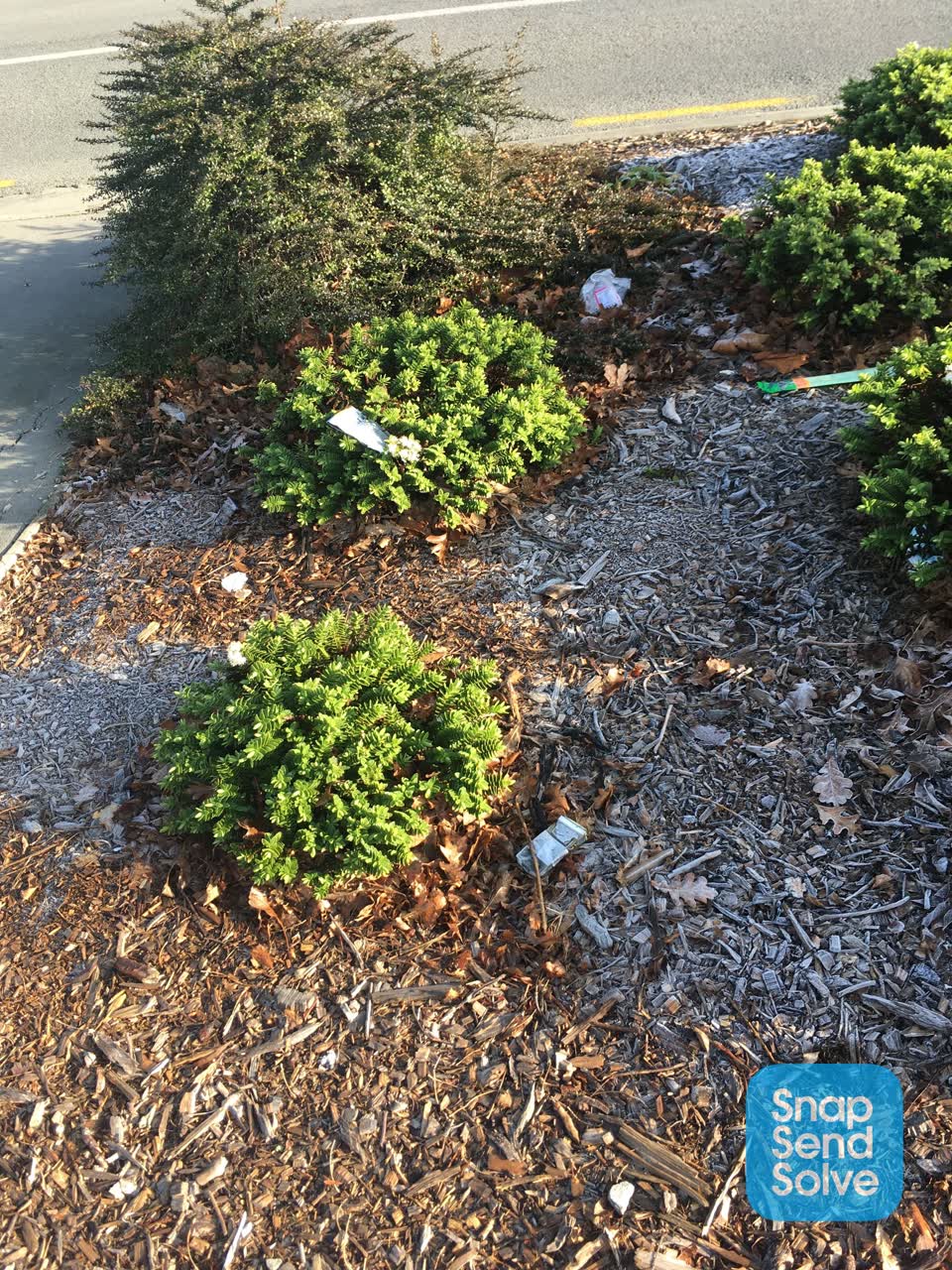 The photograph attached to this rubbish/recycling report