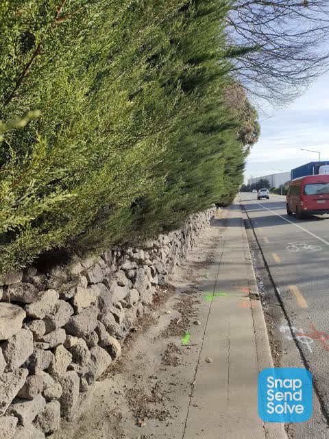 Roading/Streets, a report photo