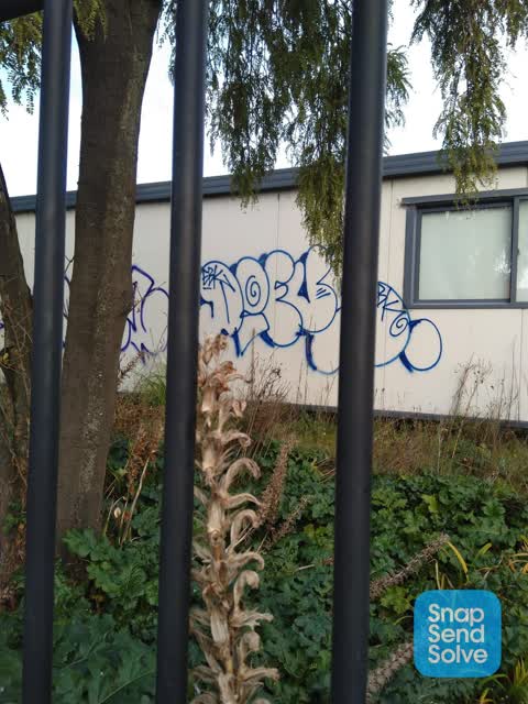 Graffiti, a report photo