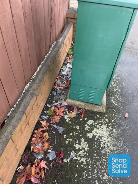 Rubbish/Recycling — a report photo