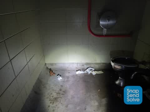 Parks, a report photo